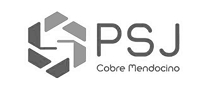 Logo de PSJ Cobre Mendocino